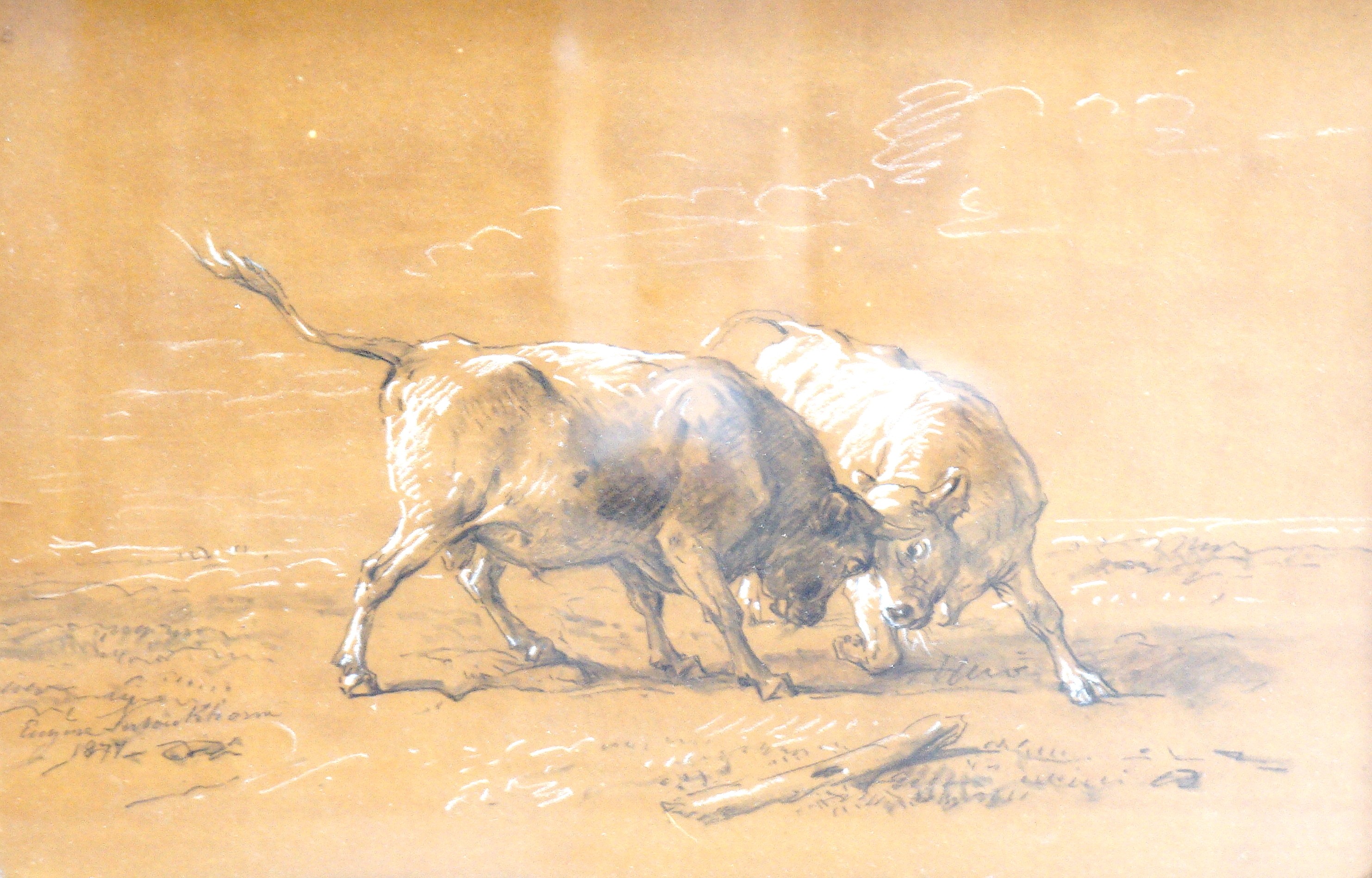 After Eugene Verboeckhoven (1799-1881), charcoal and chalk drawing, Bulls fighting, bears signature and date 1877, 24 x 36cm